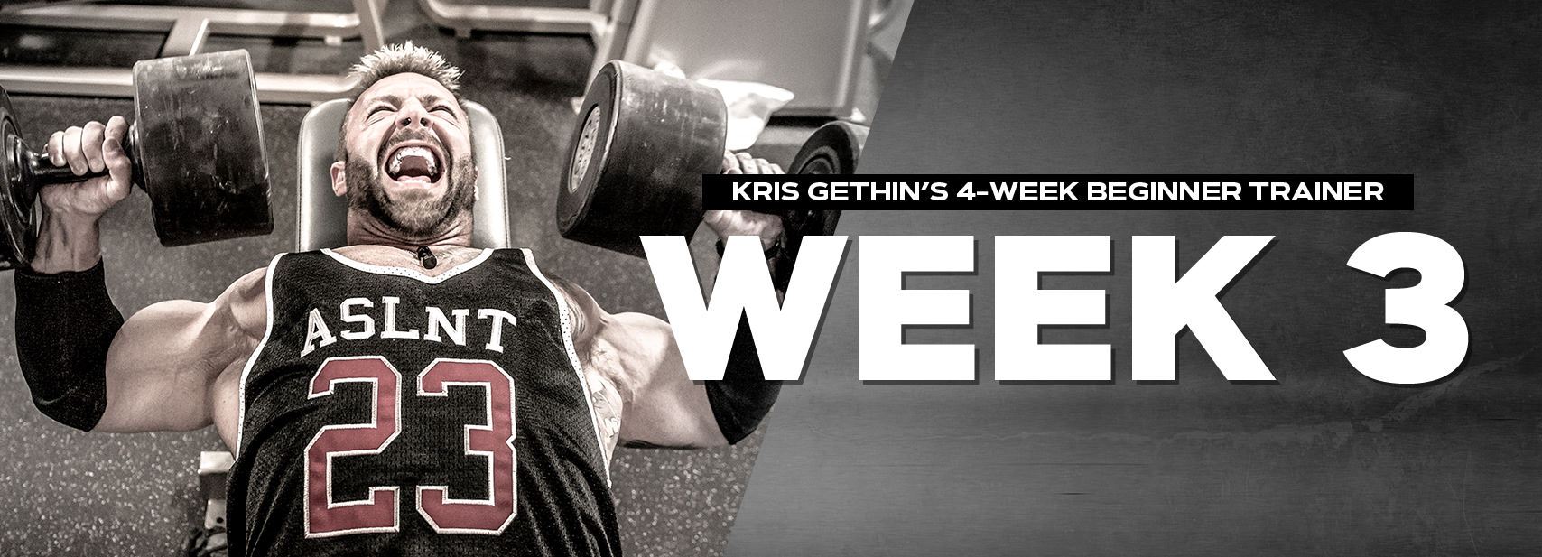 Training Day 15:Legs & Abs:Monday