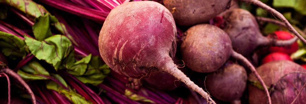 The Truth About Beetroot and Nitric Oxide