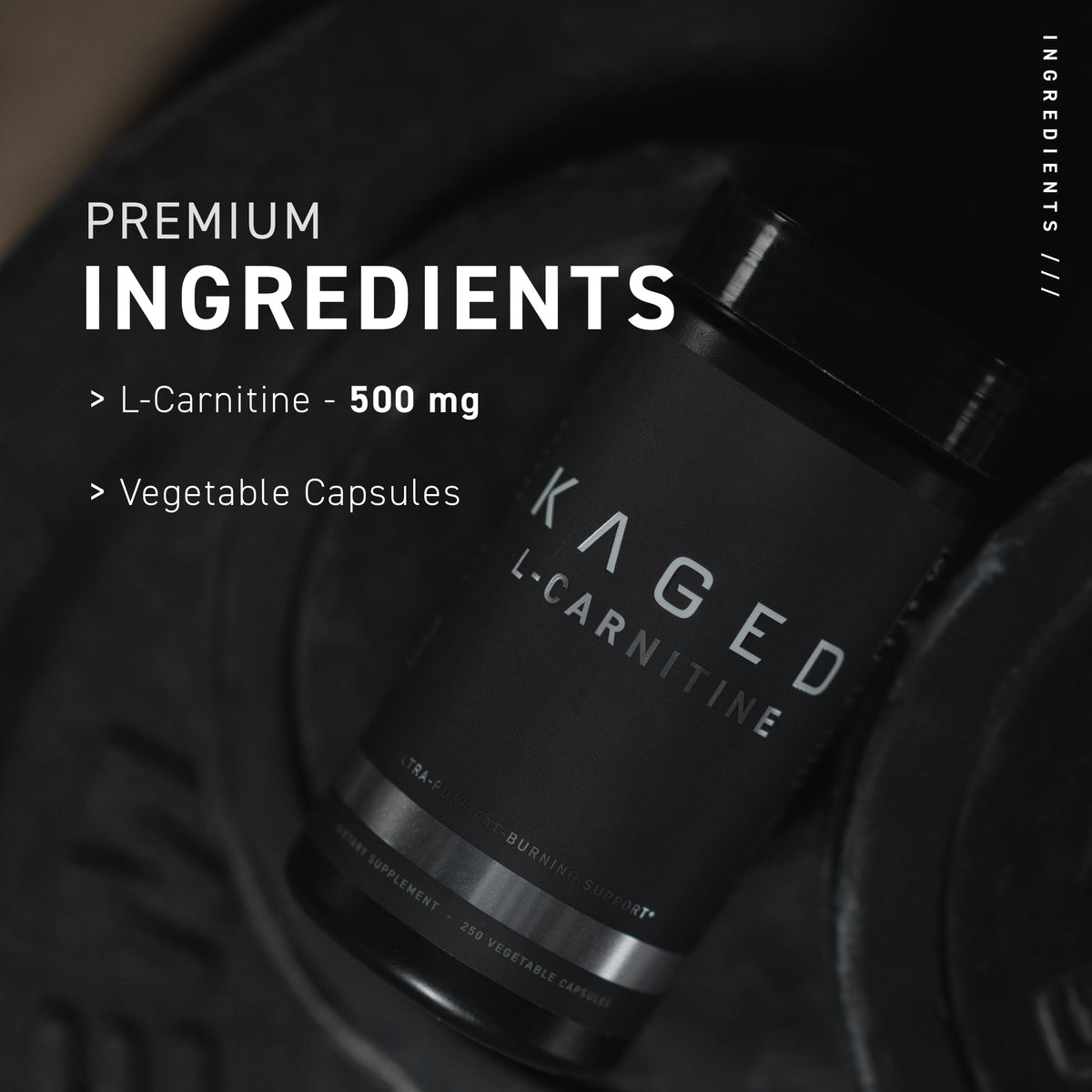 L-Carnitine